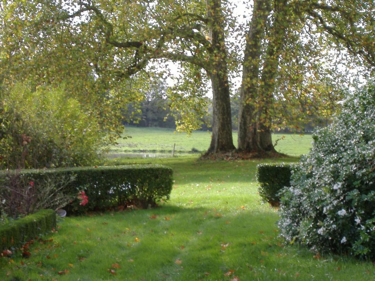 Chateau Du Fraisse Nouic Buitenkant foto